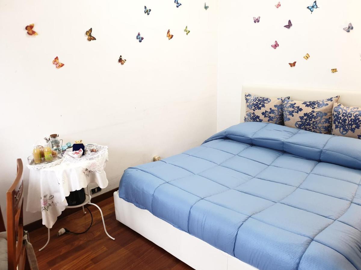 B&B Mary'S House Ciampino Dış mekan fotoğraf