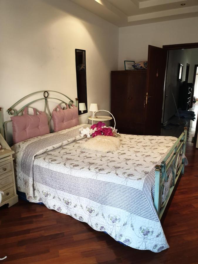 B&B Mary'S House Ciampino Dış mekan fotoğraf