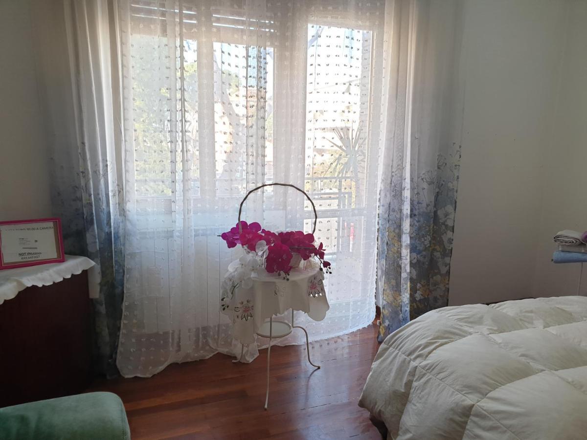 B&B Mary'S House Ciampino Dış mekan fotoğraf