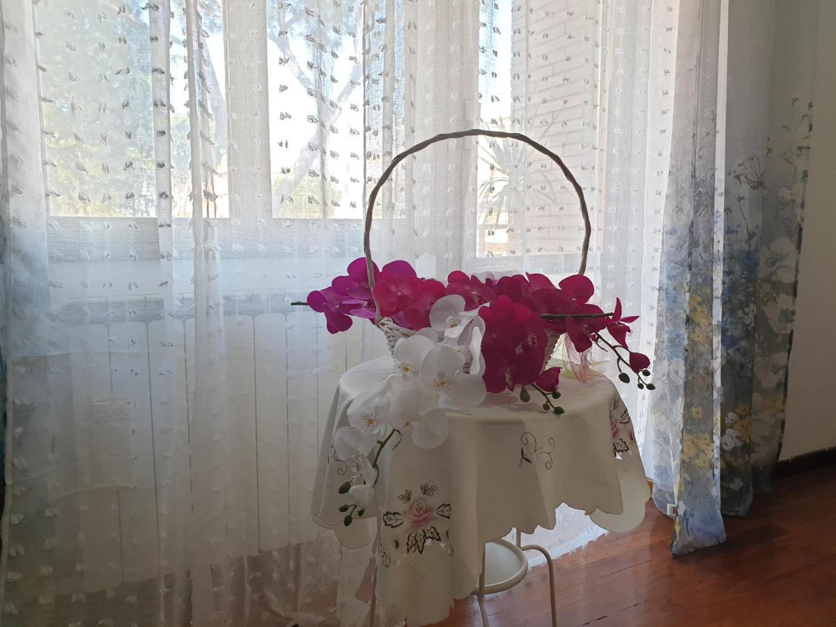 B&B Mary'S House Ciampino Dış mekan fotoğraf